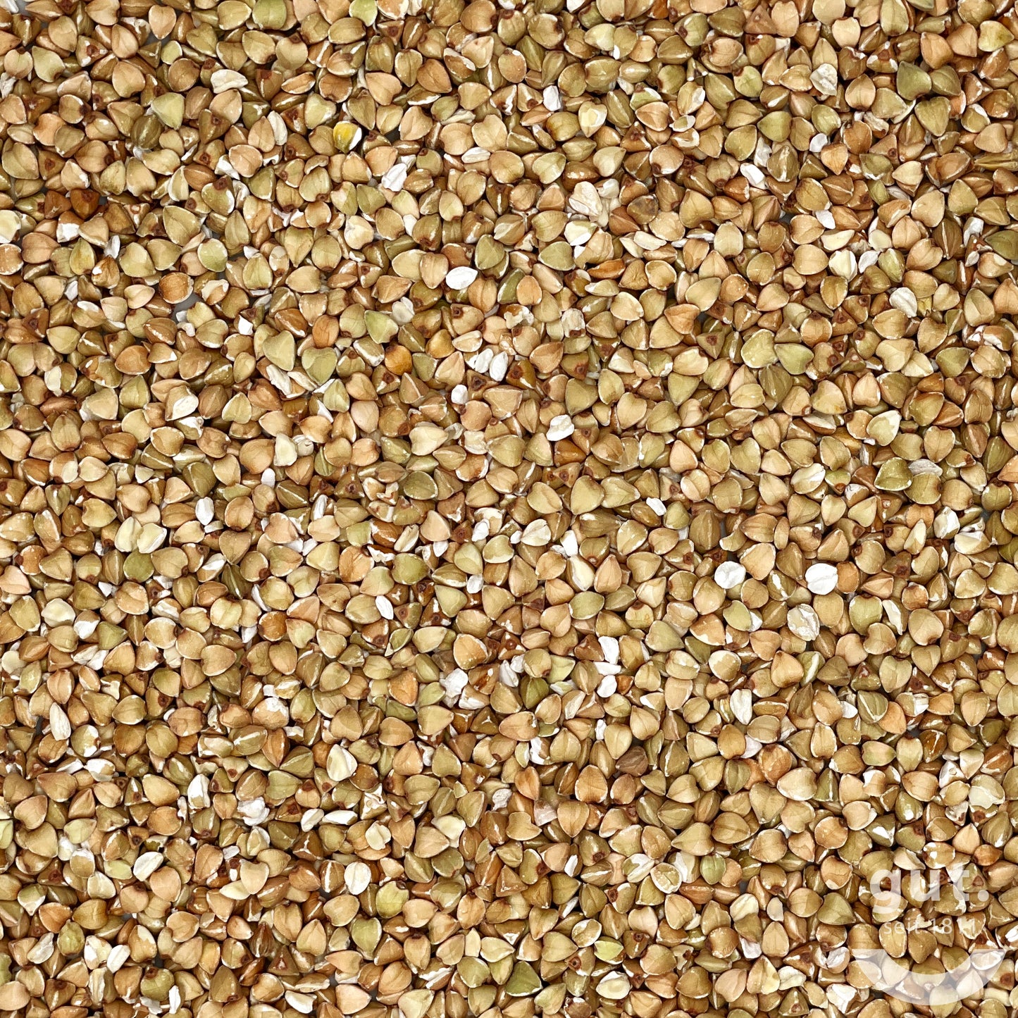 Buchweizen, BIO