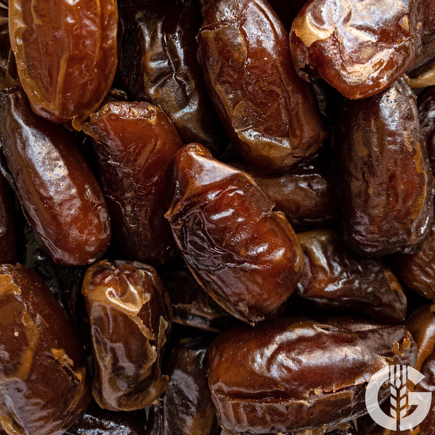 Deglet Nour Datteln