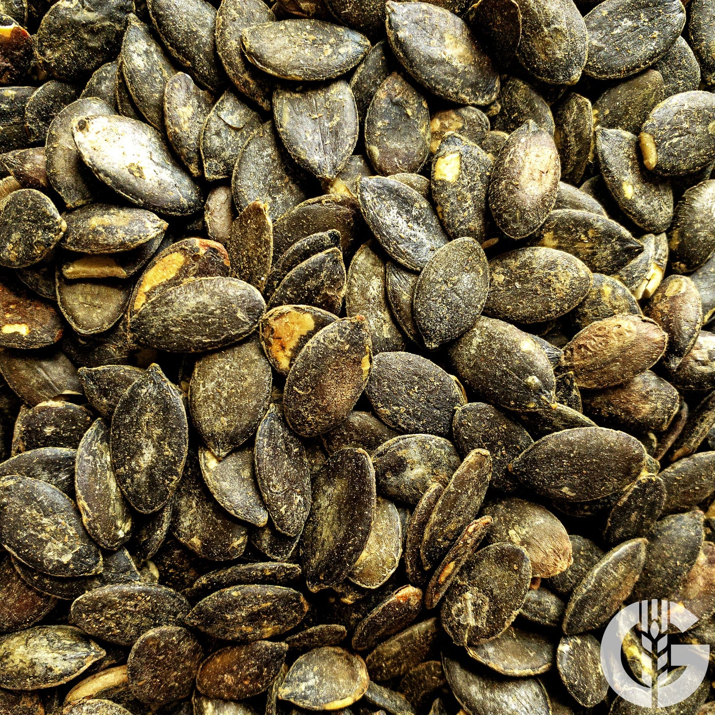 Kürbiskerne geröstet, gesalzen