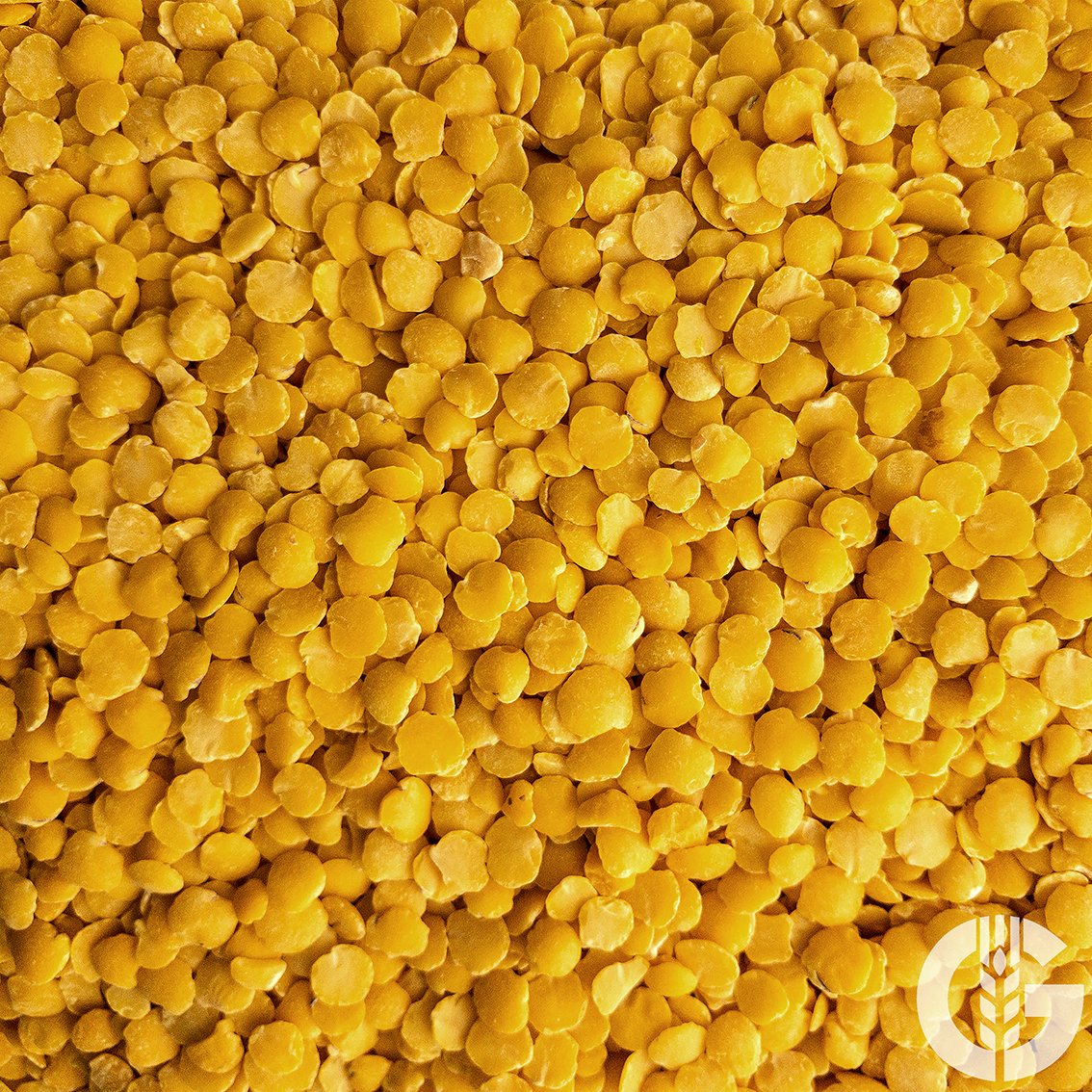 Gelbe Linsen Split, BIO