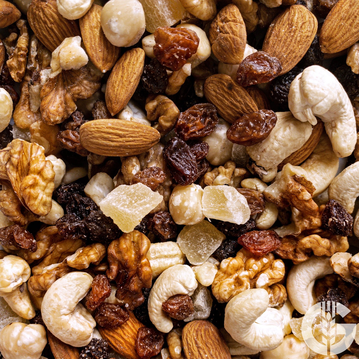 Studentenfutter Erasmus